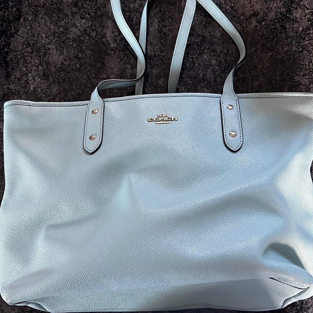 Light Blue Purse